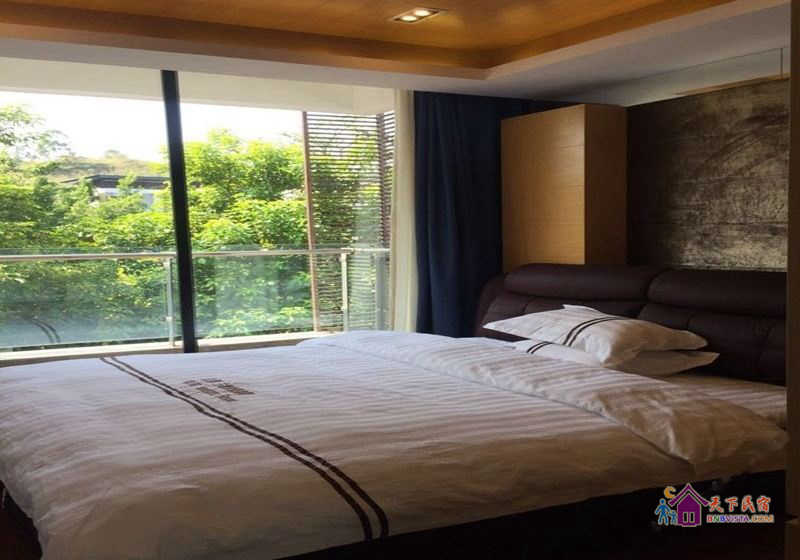豪华八室三厅套房
