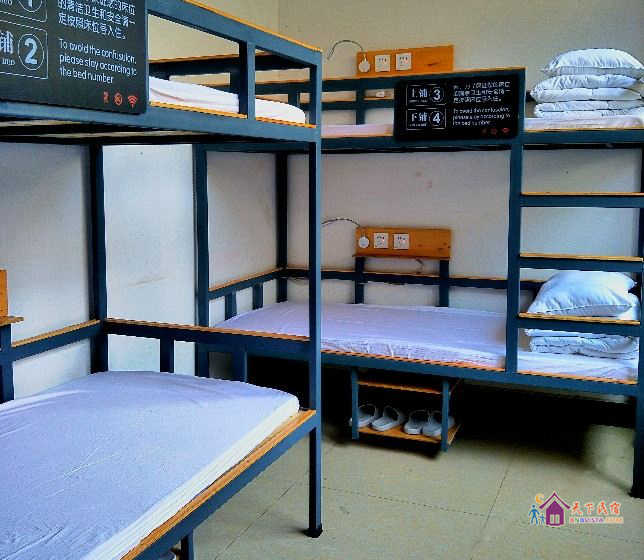 独卫女生4人床位间