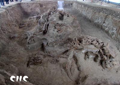 重庆恐龙化石遗址