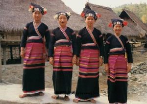  天下民宿 特产 之 傣族女子服饰 