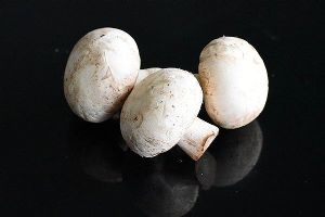  天下民宿 特产 之 蘑菇炖羊肉 