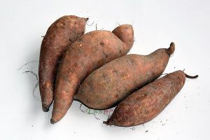  天下民宿 特产 之 五工台红薯 