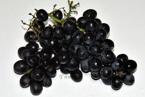  天下民宿 特产 之 紫藤葡萄 