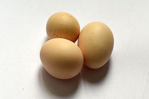  天下民宿 特产 之 “绿健”牌营养鸡蛋 