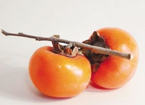  天下民宿 特产 之 甜柿 