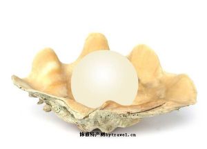  天下民宿 特产 之 淡水珍珠、中国黑杨 