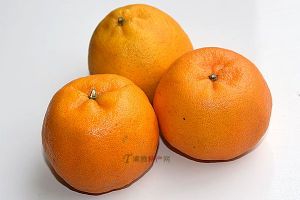  天下民宿 特产 之 临澧柑橘 