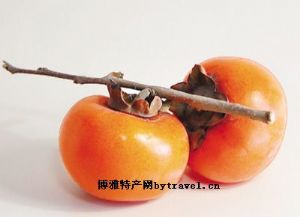  天下民宿 特产 之 泽州甜柿 