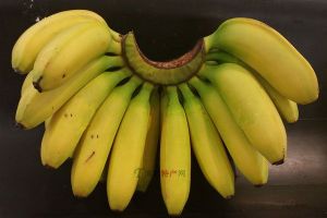  天下民宿 特产 之 南宁香蕉 