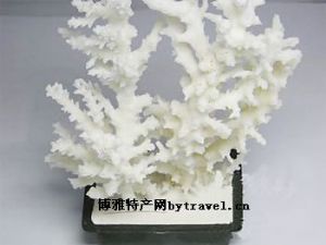  天下民宿 特产 之 珊瑚盆景 