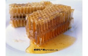  天下民宿 特产 之 温江蜂蜜 
