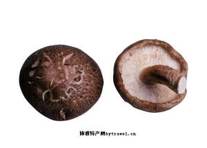  天下民宿 特产 之 永昌蘑菇 
