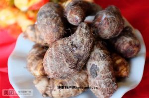  天下民宿 特产 之 建昌红香芋 