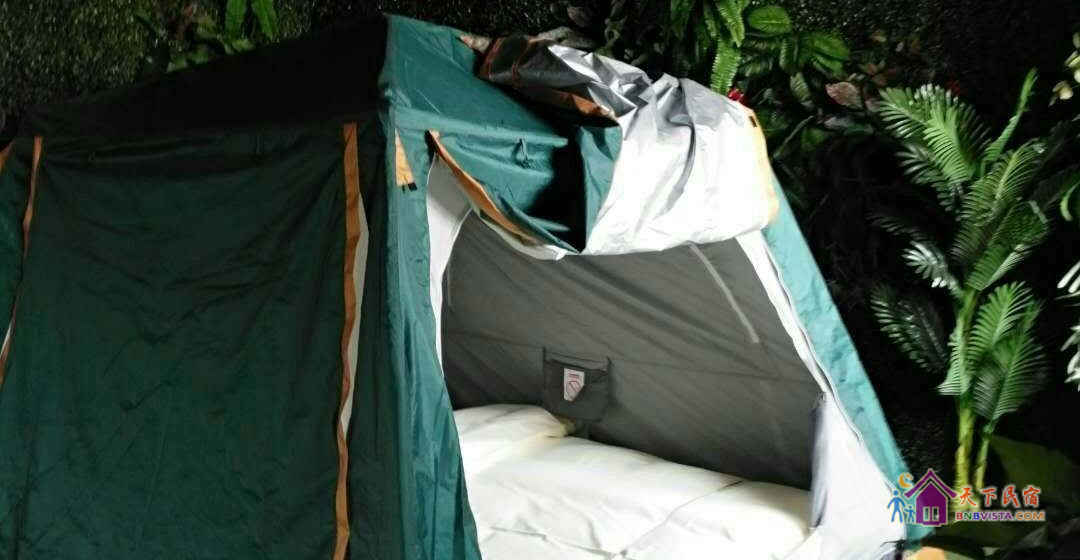 探险系热带雨林