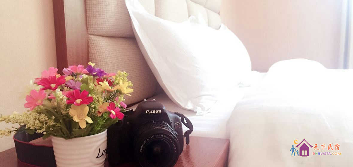 田园观景大床房