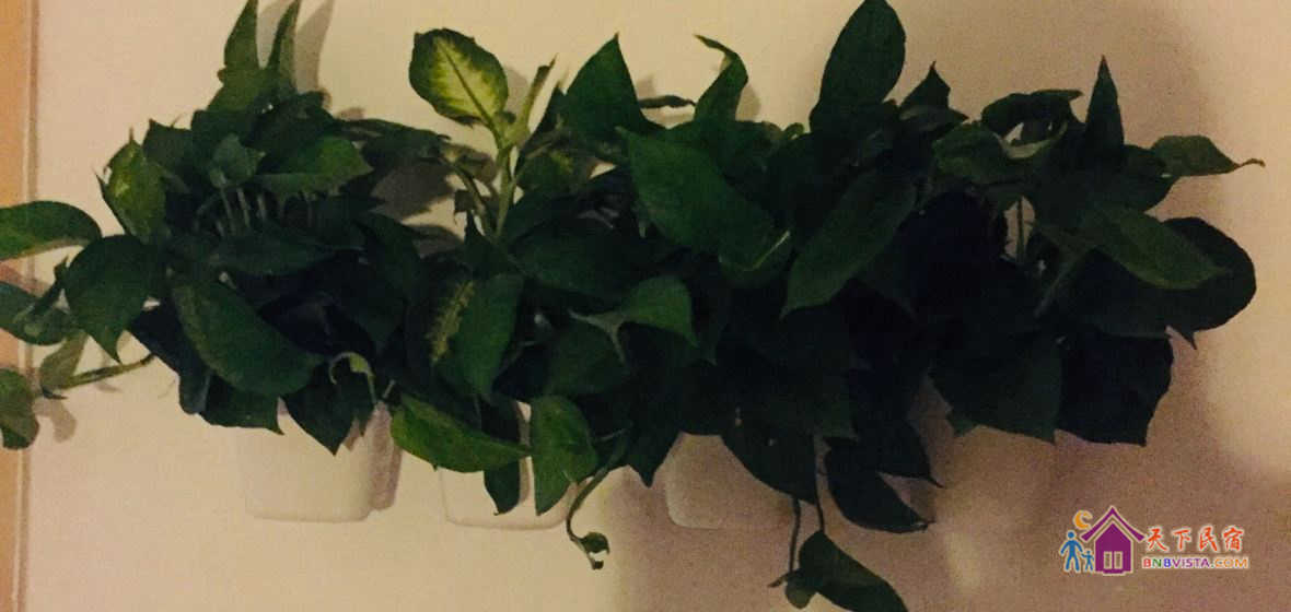 靓女6人间 (床位)(公共卫浴)