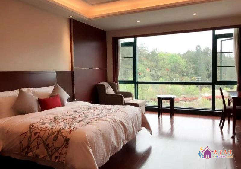 欢墅湖景大床房