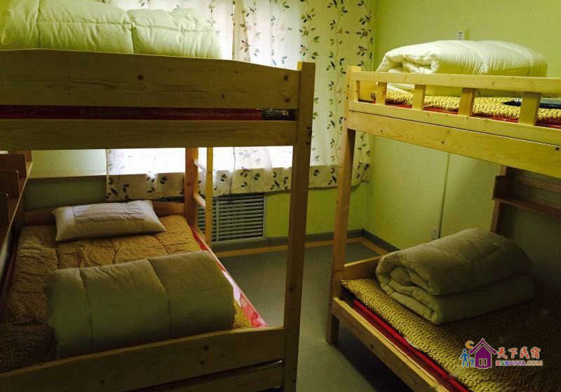 女生四人间(床位房)