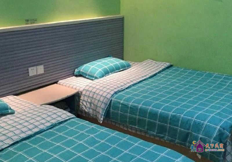 经济双床房