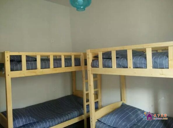 跳动青春混住八人间