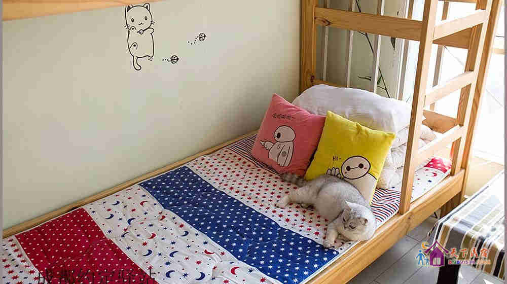 女生六人间(床位房)