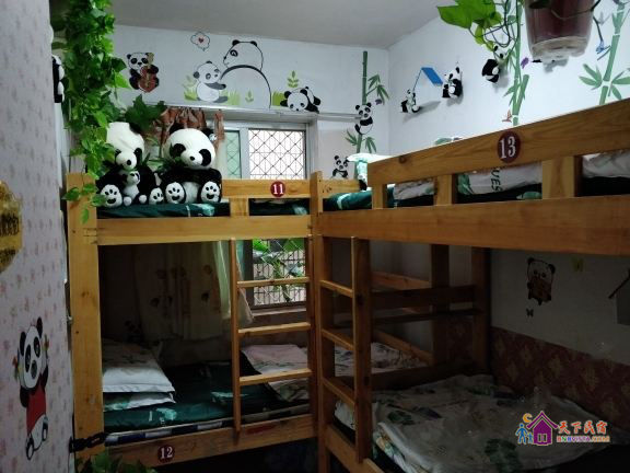 熊猫主题四人间（床位）