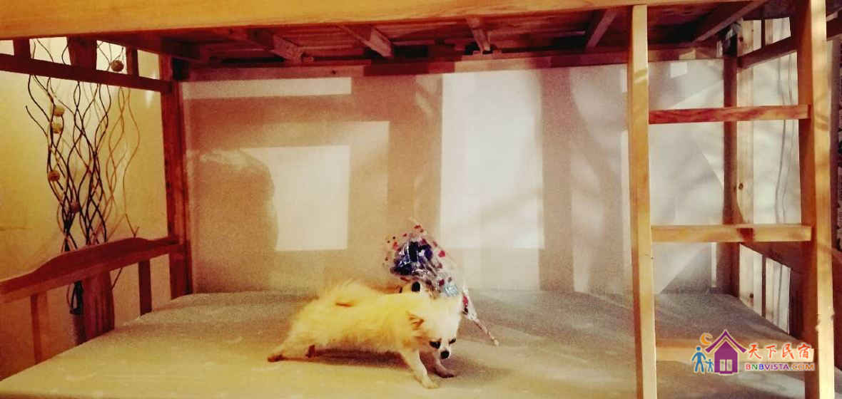 四人间(床位房)