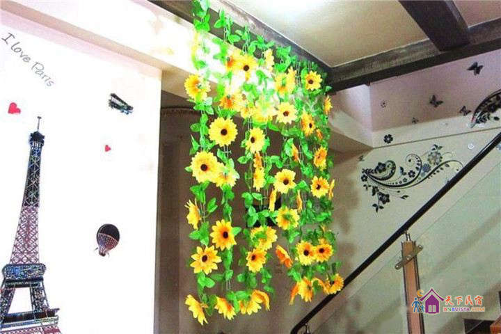 女生景观八人间