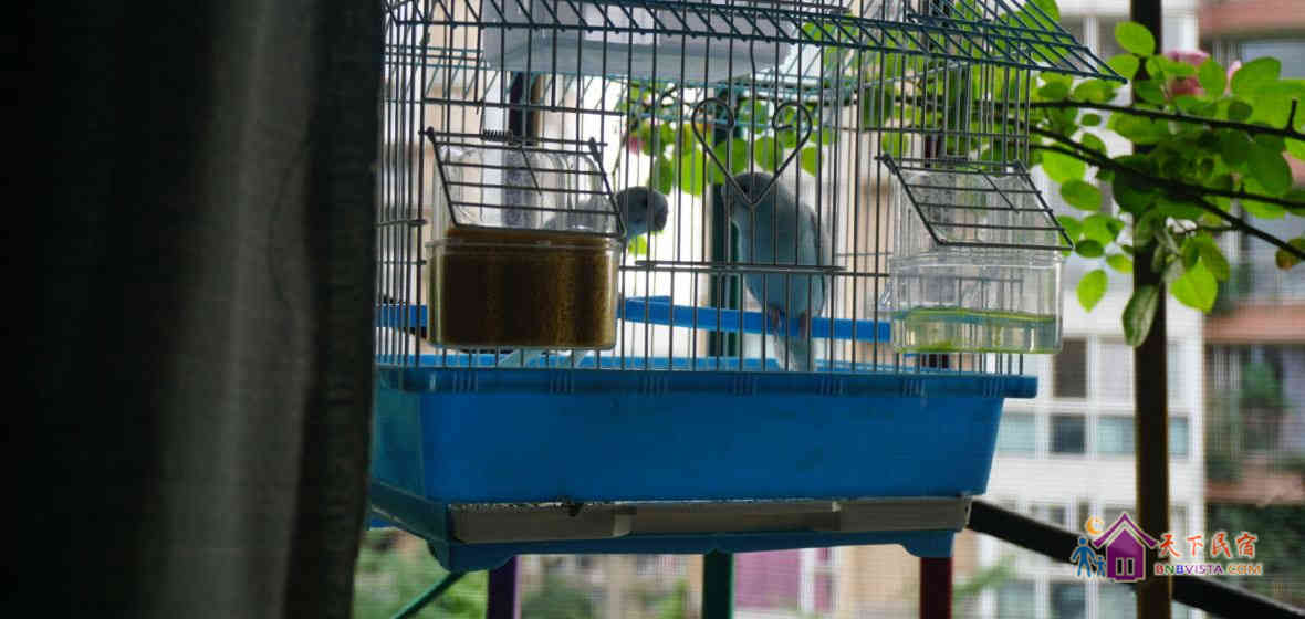 鸟语花香阳台双人间