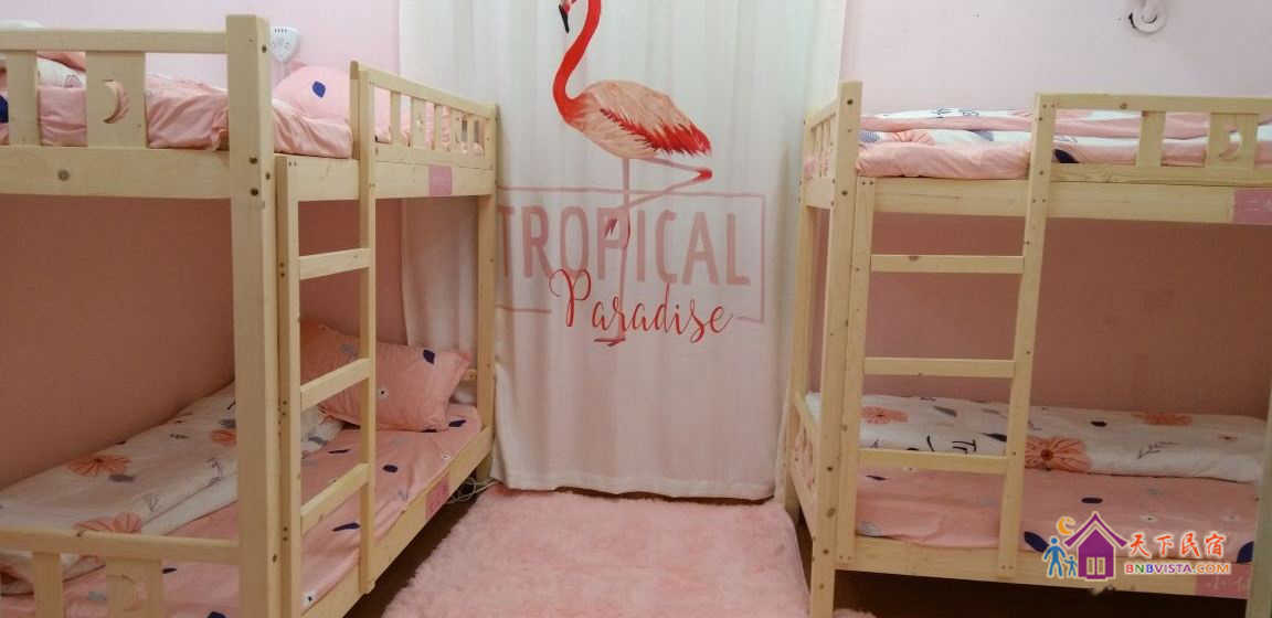 女生4人间(床位)(公共卫浴)