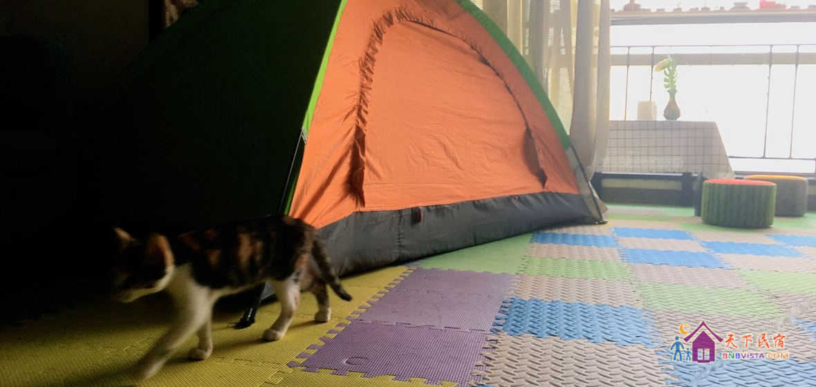 客厅江景沙发床