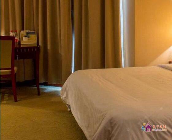 豪华园景别墅大床房