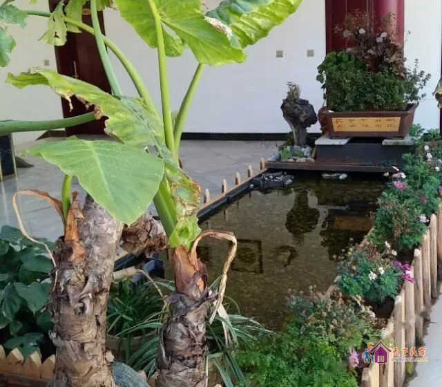 北窗高卧标准间