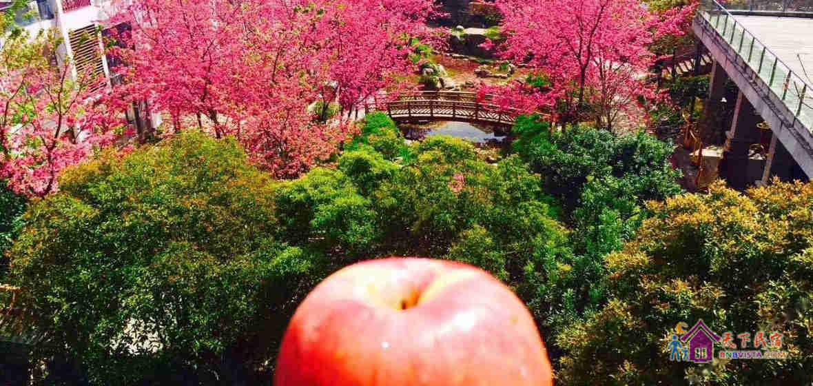 樱花溪谷海景家庭房