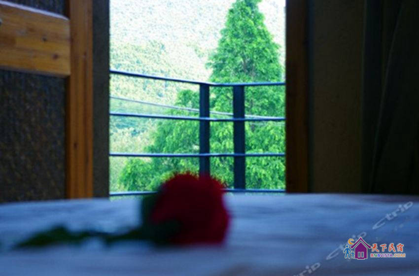 听泉露台山景房