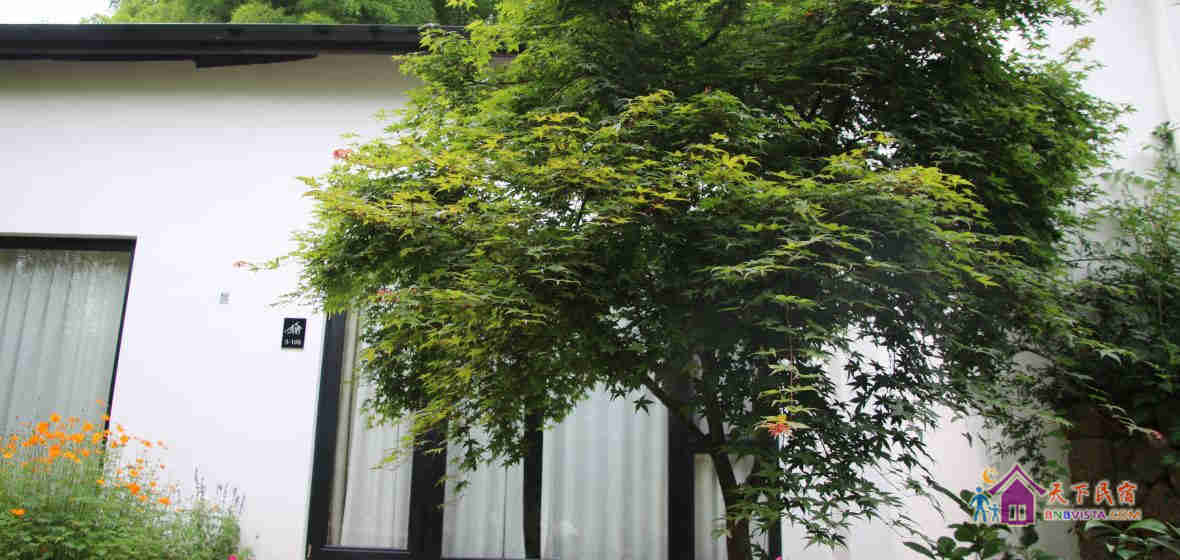 庭院复式大床房