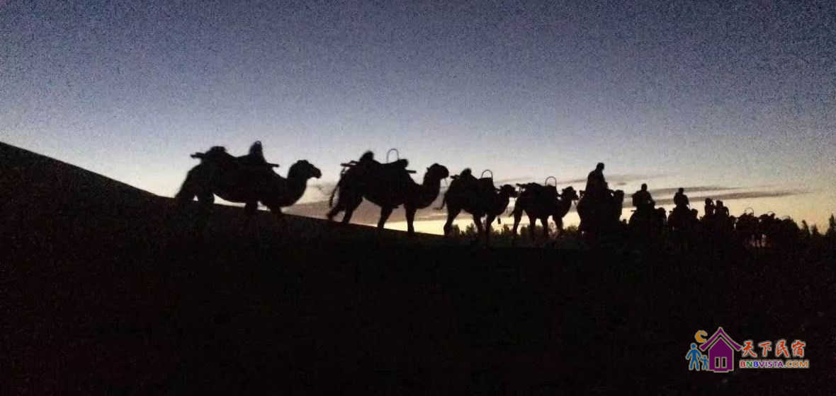 沙漠露营单人帐篷房