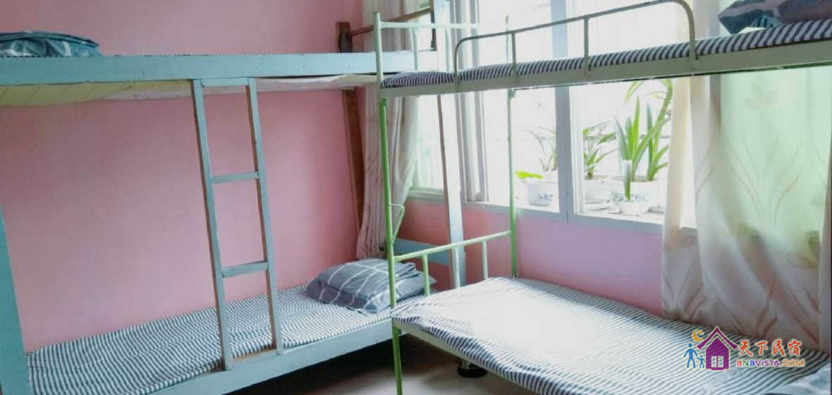 女生兰花六人间