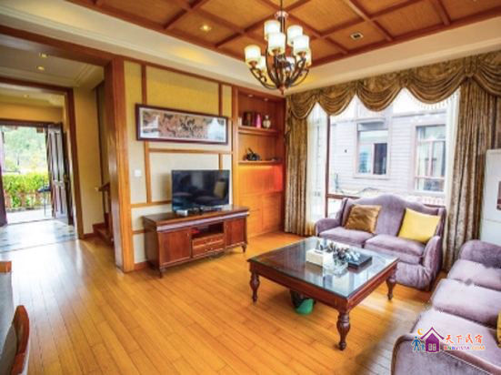 欧式风格5房温泉别墅