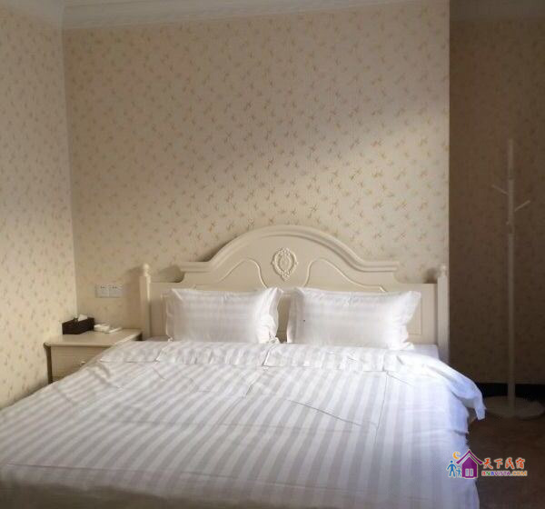 豪华阳光六房11床温泉度假别墅