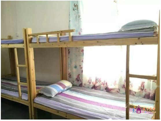 女生四人间(床位)