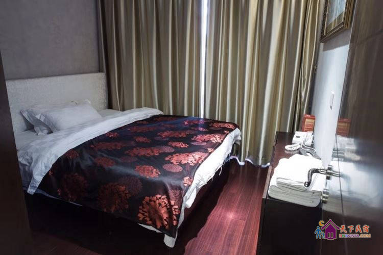 豪华8房13床半山别墅