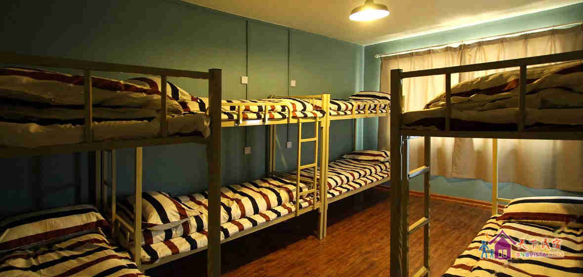墨绿丛林女生八人床位房