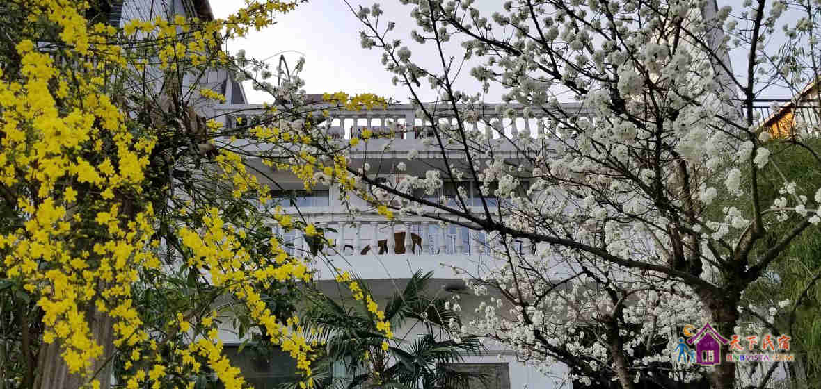 豪华摩天三房别墅