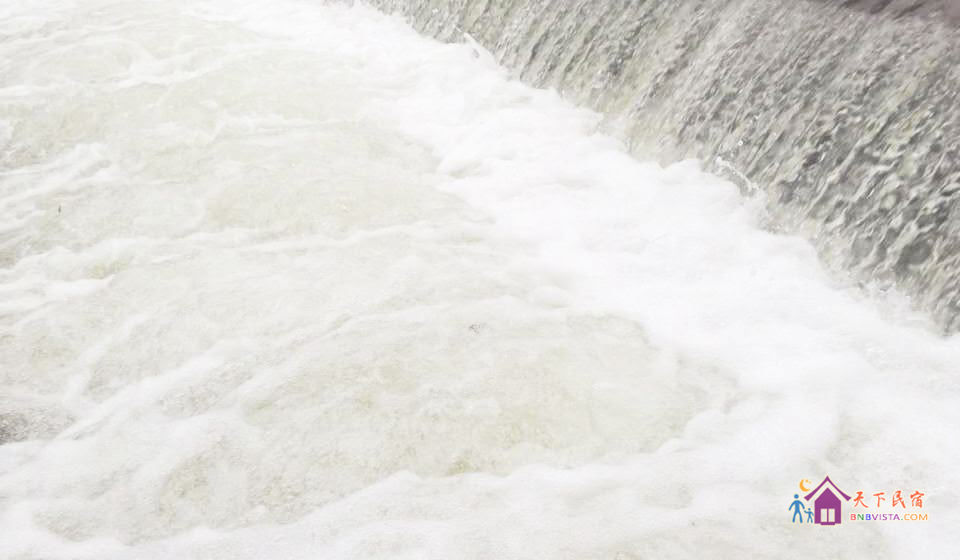 杜鹃阳光大床房