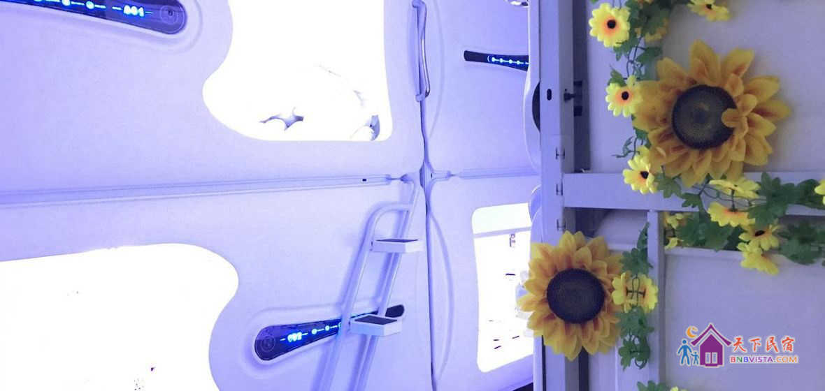 女生豪华太空横舱