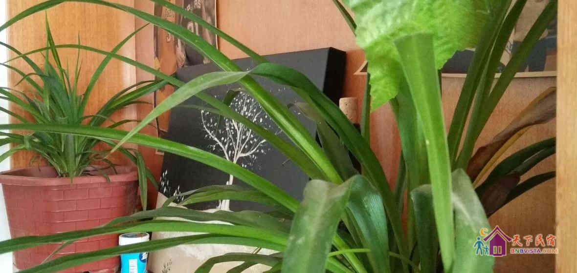 创客男生四人间