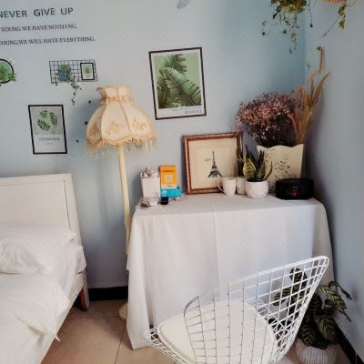 田园一室大床房