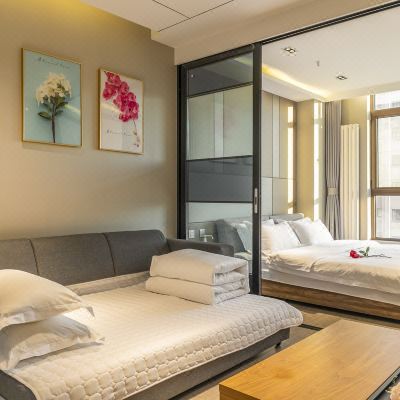 精致一室一厅套房