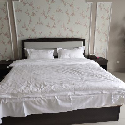 精致一室大床房